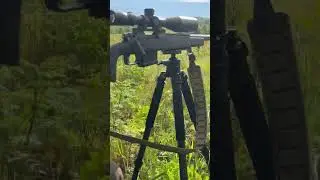 #foxpro #dog #wildlife #nature #hunting #summer #workingdog #coyote #outdoors