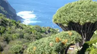 Ralf Moll Fastenseminare - Typfasten auf La Palma - Fasten - Fastenwandern Kanaren
