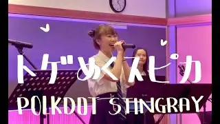 トゲめくスピカ (POLKADOT STINGRAY) 'A Stinging Spica' cover by Angus Beef