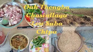 Oak Ka Panga Thongba | Pork With Taro Roots Curry | Harvesting Vlogs | North East India | Manipur