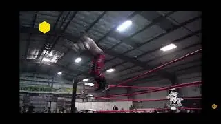 Mecha Wolf vs Aereo
