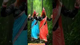 🐓🥁 Saree & Kurta Wale Roosters Bollywood Dance💃😍 | #FunnyAnimaldance#viralvideo#trending#shorts