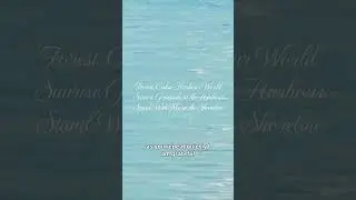10 Min Sunrise Gratitude | Forest Cabin & Harbour Visualisation | Stand With Me at the Shoreline