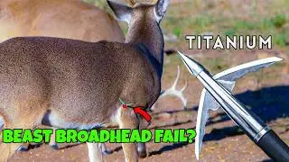DON'T Buy BEAST Broadheads Before WATCHING THIS!