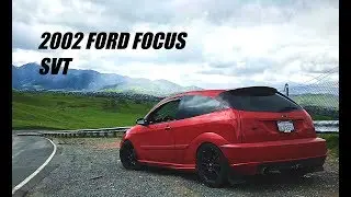 This autozone employee drives a 2002 Ford Focus SVT.