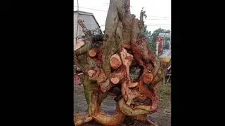 (((X)))))M690&hellip;&hellip;&hellip; 5trieu duối si&ecirc;u Gi&agrave; lh 0913820@@@134.tri 