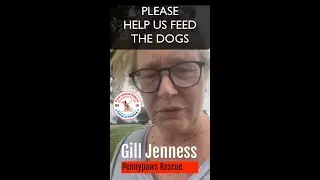 50 rescued dogs need feeding.. Just a the price of a coffee will help so much.Thank you. UK Charity
