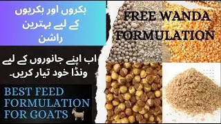 Wanda Formulation |Best Feed formulation | Fattening wanda formula for goats and calf