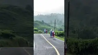 PAGI HARI DI JALAN KEBUN TEH CIBUNI #cibuni #ciwidey  #kebunteh