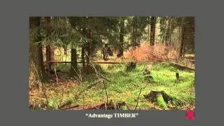 wald2 Advantage TIMBER