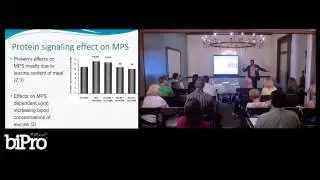 The Importance of Amino Acid Leucine Part 1