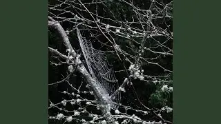 sleep outside