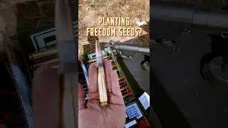 Growing FREEDOM SEEDS? (Totally legit...) #gun