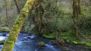 Wolf Creek, Oregon