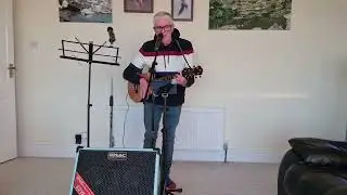 The Whole Of The Moon on a Flight Maia Baritone 8 steel string Uke (Chords/Lyrics in Description) 