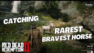 How to Catch Rare Wild Horse | Locations & Guide | Finding the Rarest Horses in RDR2