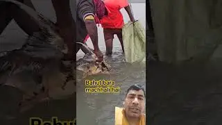 bahut bada machhali hai #fishing #fish #viral #funny #trending #saudiaarbia #youtub #comedy