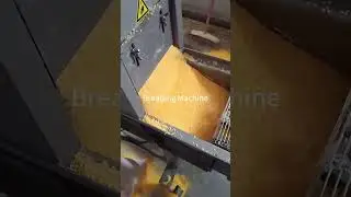 Hamburger Patty Machine Production Line