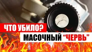 МАСОЧНЫЙ ЧЕРВЬ под влиянием ГРАФИТА, СПИРТА, ПЕРЕКИСИ и ОГНЯ