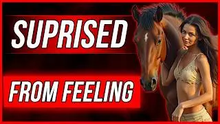 Я и не знала, что лошади могут быть такими свирепыми😳🐴