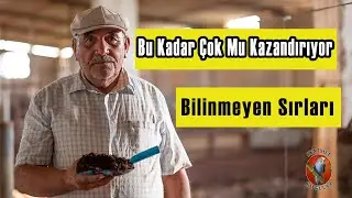 Solucan Gübresi Bu Kadar Kazandırır mı ????