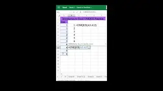 Introduction to Excel UNIQUE Function #shorts
