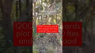 1200 sq yards plot resale in janaharsha dream City 2 Q phase @janaharshagroupofcompanies7158
