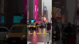 Which city in the world has the most spoken languages? | vid 80