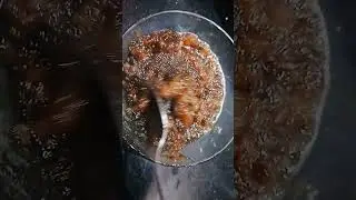 homemade Amla jam