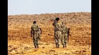 Tigray Ethiopia update