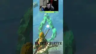 Acertijo del Pez Celeste. #shrots #zeldatearsofthekingdom #nintendo #zelda #aventura