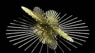 3D IFS Fractal : Spin