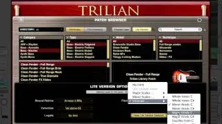 Sample Thinning - Trilian Explained