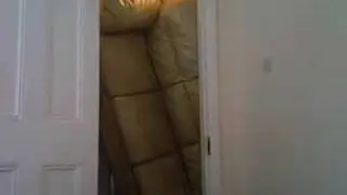 Couch in Tiger, Hittin', Draggin'