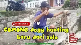 COMONG DOGY HUNTING BARU #hunting#dog #hunter #videoviral 