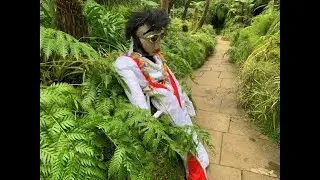 THE FERNERY AT TATTON - WITH SPECIAL GUEST!