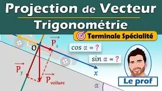 📐Projection de VECTEUR sur plan incliné - Trigonométrie | Terminale spécialité | Physique chimie