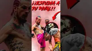 El RODILLAZO PERFECTO de SEAN O&rsquo;MALLEY VS CHITO VERA | ANALISIS TECNICO #ufc #mma #boxeo