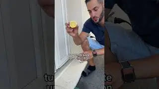 L’astuce dont tu avais besoin aujourd’hui 🍋