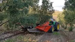 Zeytin Hasatı 2017 Agromelca TEKELİOĞLU