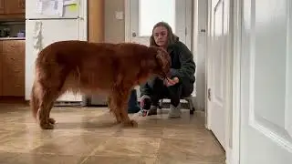 Winter Boots Tube Training