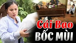 CÁI BAO BÓC MÙI | Truy Tìm Bằng Chứng 2026 | Ký Sự Pháp Đình THVL | Chuyện Cảnh Giác Mới 2026
