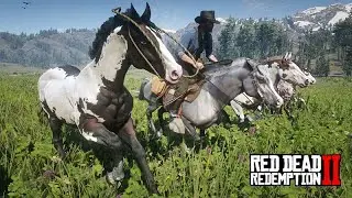 Domando muitos cavalos - O DOMADOR DE CAVALOS  - 32