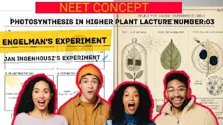 NEET CONCEPT||Photosynthesis in higher plant lacture number:03||Jan Ingenhousz experiment|