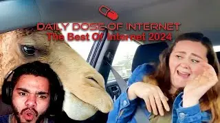 SWMusashi Reacts:  Daily Dose Of Internet - The Best Of Internet 2024