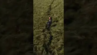 Ancient Artifacts in the World&rsquo;s Highest Navigable Lake: Tiquina, Bolivia
