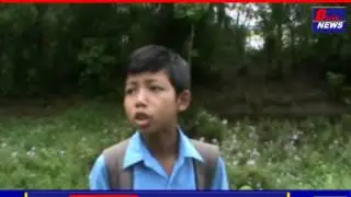 dhemaji flood news