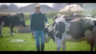 Padraig Keane - Dairy Farming