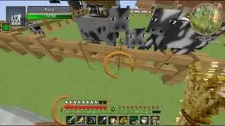 MY CAPA Y MIS CHOCOBOS - Morcraft random - Minecraft mods - #25