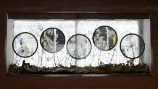 Skunk Control - Creative Spaces | The Dirty Dozen